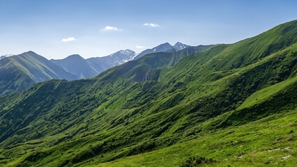 Obraz premium Green Mountain Landscape