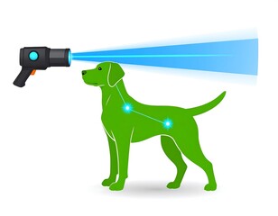Fototapeta premium Dog receiving a light therapy treatment