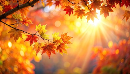 Autumnal Sunlit Maple Branch with Vibrant Red and Yellow Leaves Sunburst Glow and Bokeh Background a Warm Scenic View