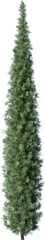 Naklejka premium tree, christmas, fir, holiday, decoration, pine, xmas, green, christmas tree, winter, celebration, spruce, season, evergreen, year, new, branch, star, isolated, new year, artificial, nature, object