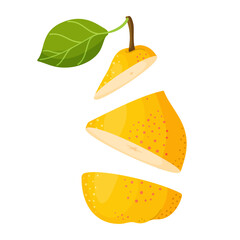 Sliced ​​yellow pear. Cross section of a cut fresh, juicy pear, fruit slices, hand drawn, trendy flat style, isolated on transparent background. for eco friendly, stickers, menu. Vector illustration.