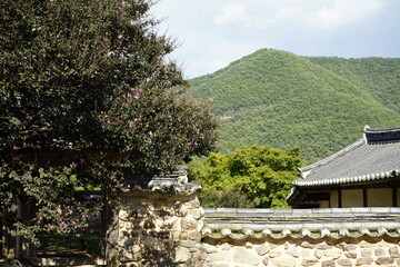 경상북도 안동에 있는 병산서원은 고려시대부터 교육기관으로 사용되어 온 전통적인 한국식 건물로 아름다운 곳입니다.