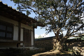 경상북도 안동에 있는 병산서원은 고려시대부터 교육기관으로 사용되어 온 전통적인 한국식 건물로 아름다운 곳입니다.