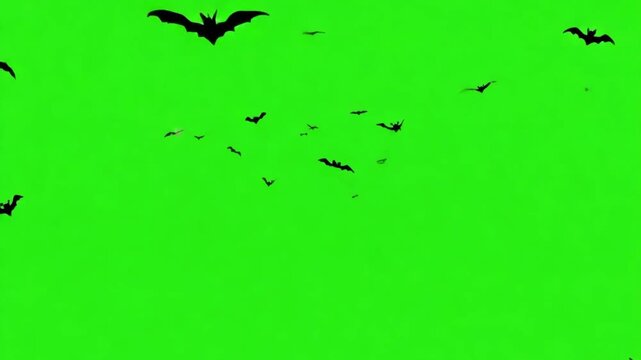 A captivating animated video of a flock of bats flying dynamically across a green screen