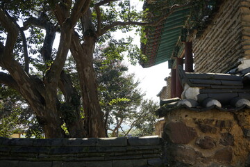 경상북도 안동에 있는 병산서원은 고려시대부터 교육기관으로 사용되어 온 전통적인 한국식 건물로 아름다운 곳입니다.