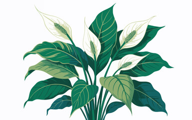 Peace Lily Illustration with Vibrant Green Leaves and Elegant White Blooms on White Background Art Concept