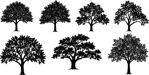Set of diverse tree silhouettes in black vector style, botanical illustration collection, nature concept, isolated design for educational artwork use