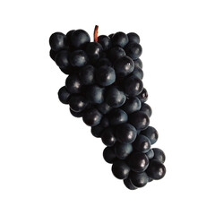 bunch of grapes isolated on white