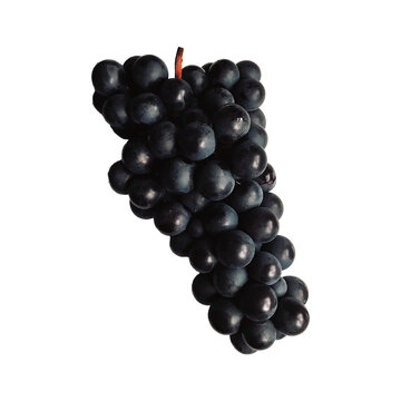 bunch of grapes isolated on white