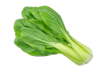 Fresh bok choy vegetable isolated on transparent background, a healthy leafy green vegetable with thick stems and vibrant green leaves, perfect for culinary use and healthy eating