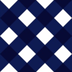 Fototapeta premium blue gingham background 