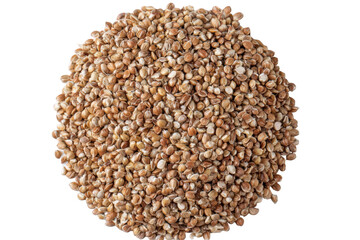 A pile of small, light brown, and tan sorghum grains, isolated on a transparent background, showcasing the texture and detail of this healthy cereal grain used in food and animal feed