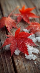 Calm scene with red maple leaves and crystalized snow on brown wood, balanced lighting, no text or logo