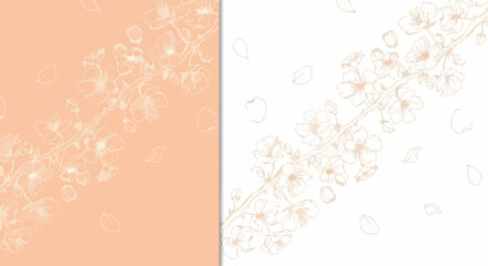 Delicate cherry blossom branches gracefully bloom across soft pastel backgrounds, evoking spring beauty.