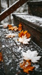 Snow-covered autumn leaves resting gently on wooden stairs, nostalgic feel, no text or logo