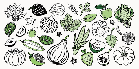 Fototapeta premium Whimsical hand drawn collection of fresh fruits and vegetables artistic renderings