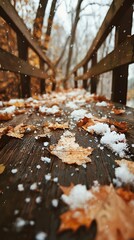 Earthy tone photograph of autumn leaves and crystalline snow on a wooden path, peaceful vibe, no text or logo