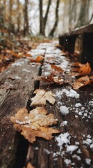 Earthy tone photograph of autumn leaves and crystalline snow on a wooden path, peaceful vibe, no text or logo