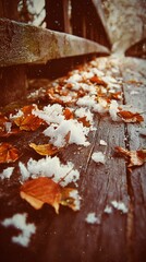 Earthy tone photograph of autumn leaves and crystalline snow on a wooden path, peaceful vibe, no text or logo