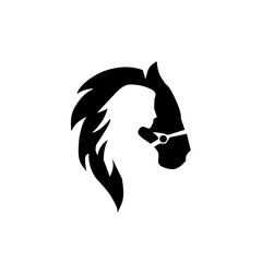 A creative silhouette combining a horse and a human face, symbolizing strength, loyalty, freedom, and the harmonious bond between humans and majestic animals.