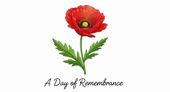 Vibrant red poppy symbolizes remembrance and peace for solemn occasions