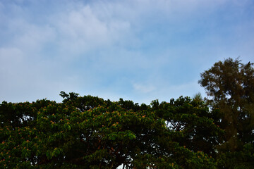 Calm ocean waves forming natural patterns at sunset, symbolizing peace, rhythm, and the beauty of seascape nature photography, perfect for design and backgrounds.