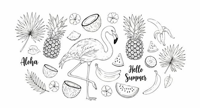 Black and white illustration featuring a flamingo surrounded by pineapples, coconuts, bananas, watermelon slices, palm leaves, and the phrases "Aloha" and "Hello Summer.". - Powered by Adobe