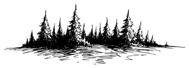 Hand Drawn Sketch of a Coniferous Forest © Mago