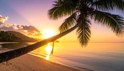 Golden hour view of a tropical beach with a leaning palm tree, reflecting on the calm ocean surface as sun sets