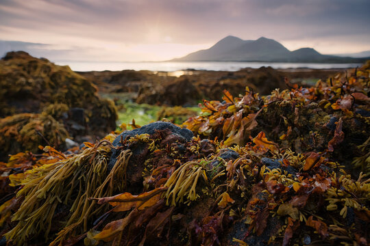 View on Croagh Patrick from Oldhead Beach, Louisburgh, Co. Mayo, Ireland