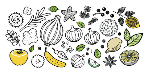 Fototapeta premium Assorted fruits and vegetables hand-drawn sketch collection for healthy eating and recipes
