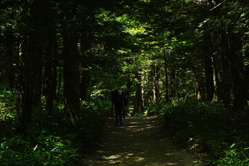 Obraz premium Kamikochi in Nagano, Japan - 日本 長野 上高地