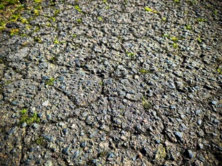 Asphalt pavement surface showing cracks and moss growth