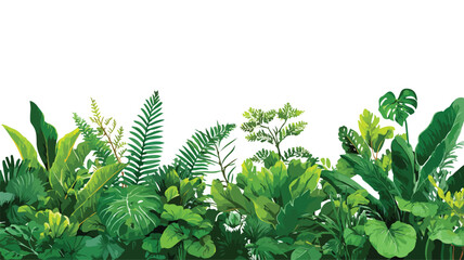 Lush Green Botanical Jungle Border Nature Photo