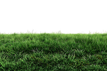 Fresh, vibrant green grass against a clean white background, perfect for adding a natural element to your designs and projects