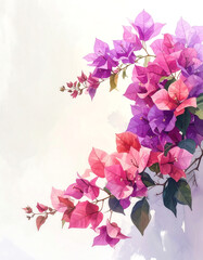 A branch of bougainvillea