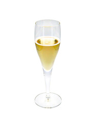 Champagne Glass on White Background