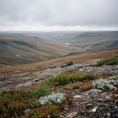 Misty mountain valley landscape