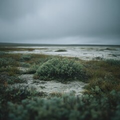 Gray cloudy landscape