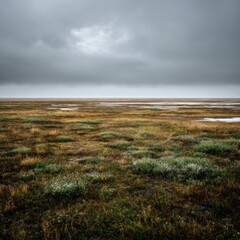 Vast grassy plains under cloudy sky