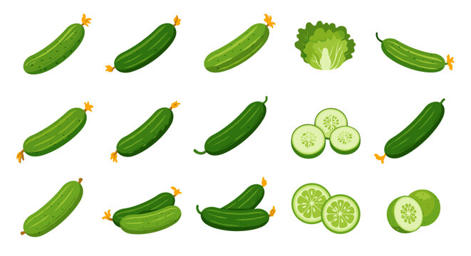 Fresh cucumber and lettuce collection on white background
