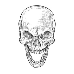 scary skull vector line art hand drawn illustration