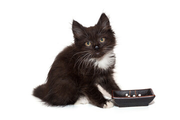 Small black kitten with a dirty nose sits near a bowl