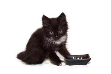 Small black kitten  near a bowl.