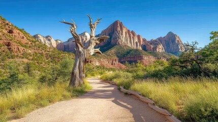 A dry tree stands prominently on the trail in Zion National Park, surrounded by green vegetation and striking red rock formations leading towards Cougar Dome peak