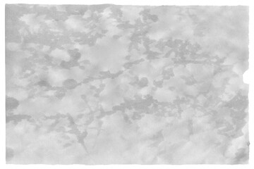 Sheet of wet paper with torn edges isolated and detailed.