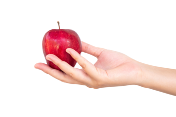 hand holding red apple isolated on transparent background