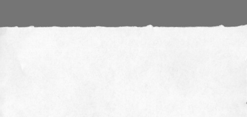 Torn edge of paper is carefully isolated and detailed for message background.