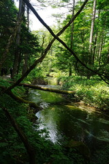 Kamikochi in Nagano, Japan - 日本 長野 上高地