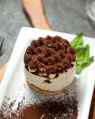 Delicious tiramisu dessert served on a white plate with chocolate powder and mint garnish